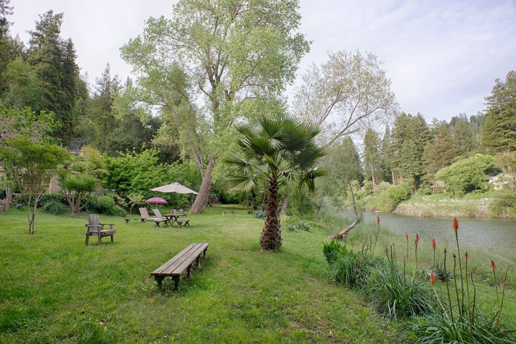 River View Garden Resort on the Russian River lawn, palm tree and flowers on the river